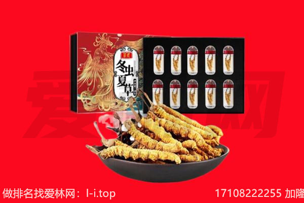 南京溧水区回收虫草.jpg